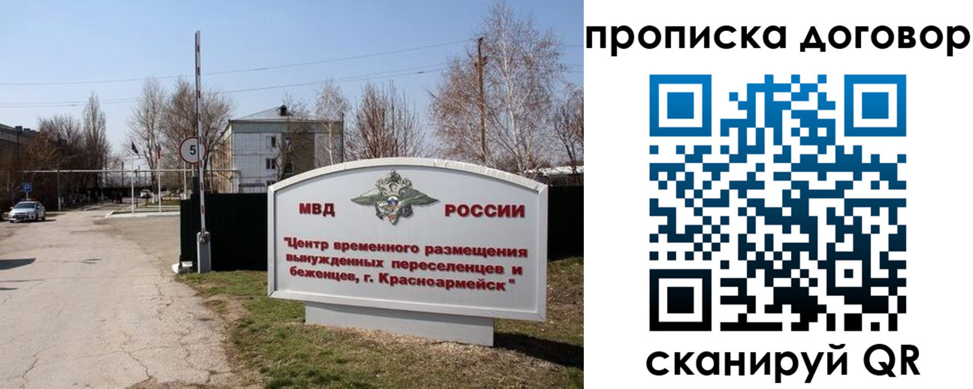 прописка для школы в Щиграх